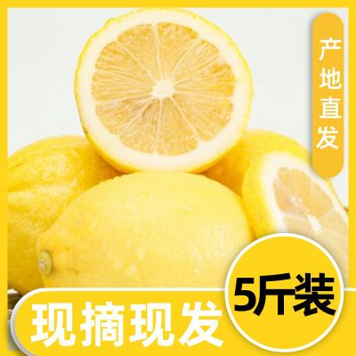 安岳新鲜四川精选现摘天然柠檬奶茶整箱多汁批发水果泡水