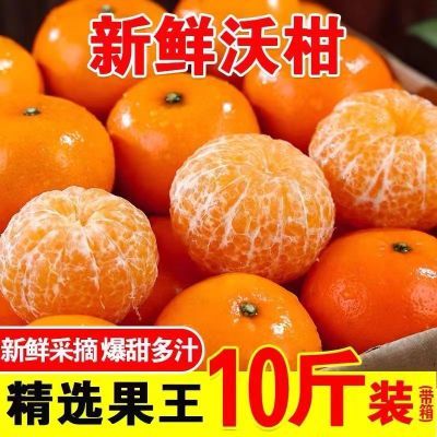 【甜爆了】广西武鸣沃柑纯甜多汁贵妃柑当季新鲜孕妇水果薄皮橘子