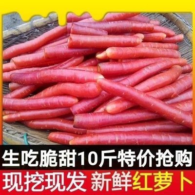 【半价疯抢】陕西沙地红萝卜现挖新鲜水果萝卜生吃脆甜胡萝卜新鲜
