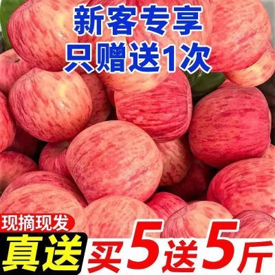【爆甜】陕西洛川红富士苹果当季新鲜冰糖心丑苹果水果批发一整箱