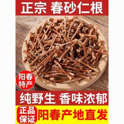 野生 春砂仁根正宗阳春春砂仁干根 煲汤煮水 农家自晒砂仁根250克