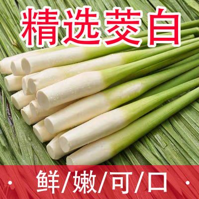 5斤新鲜茭白现摘农家蔬菜时令高笋茭儿菜月子下奶美人茭1斤半斤