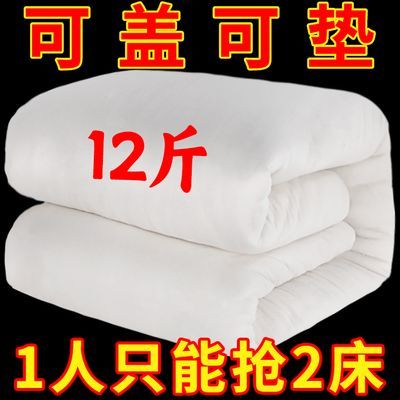 棉被冬被加厚被子褥子10斤12斤冬季单人双人被子垫盖保暖棉絮