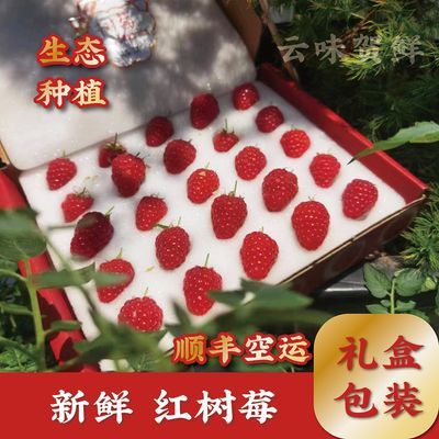 新鲜红树莓鲜果2/4盒红颜覆盆子130-150g/盒稀有水果礼盒孕妇水果