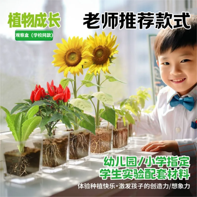 儿童种植小盆栽科学小实验套装植物根系生长观察盒手工种植Diy
