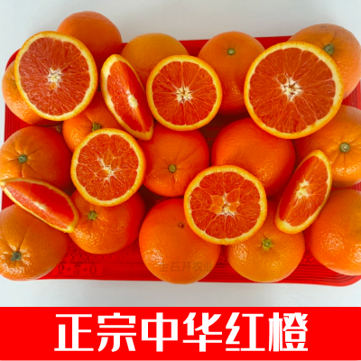 正宗湖北秭归中华红橙品质贵族血橙当季新鲜红心水果大果