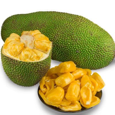 菠萝蜜海南三亚产地直发黄肉当季大树波罗整个10-40斤整箱大果