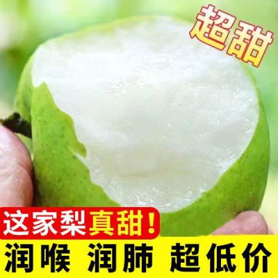 【正宗】皇冠梨梨子新鲜水果带箱4/5/10斤整箱批发现摘百年酥梨