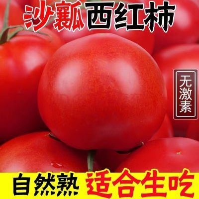 【10斤西红柿新鲜生吃】攀枝花番茄水果自然熟批发带箱5斤沙瓤