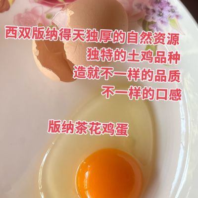 原生态散养茶花鸡跑山五谷杂粮孕妇月子营养健康正宗土新鲜土鸡蛋