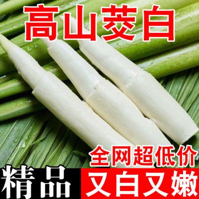 新鲜茭白现摘时令农家蔬菜农家种植高笋茭儿菜月子下奶食材沙拉菜