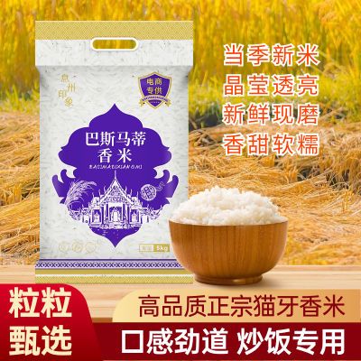 正宗猫牙米泰国香米超长大米丝苗米食用长粒香大米2023年新米