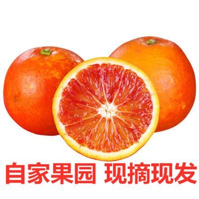 正宗四川塔罗科血橙新鲜当季水果橘子果园现摘现发