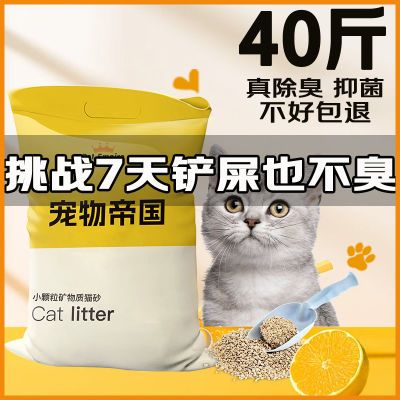 细沙猫咪猫砂无尘40斤矿物质除臭抑菌膨润土批发结团去尿味室内