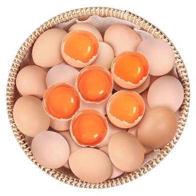农家正宗土鸡蛋散养农村笨鸡蛋新鲜营养柴鸡蛋整箱批发