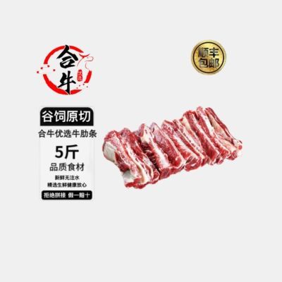 牛肋条进口巴西牛肉原切牛肋条红烧烤肉家庭食材