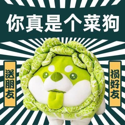 白菜狗抱枕玩偶毛绒玩具蔬菜精灵菜狗送女友生日礼物儿童抱枕娃娃