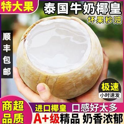 【顺丰包邮】泰国老树牛奶椰皇新鲜椰子4/6/8个椰青孕妇水果送礼
