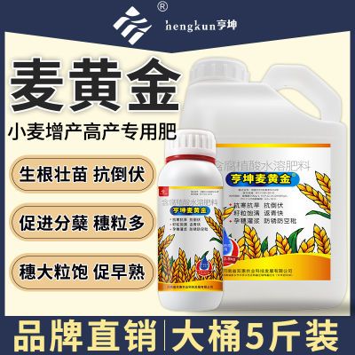 麦黄金小麦高产专用叶面肥分蘖抗倒伏缩节灌浆肥高产增产水溶肥料