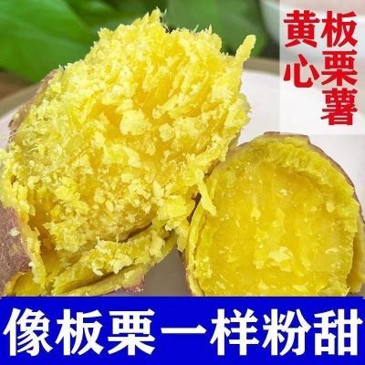 【特价板栗】正宗沂蒙山黄心红薯板栗蜜薯香甜番薯甜糯软糯整箱