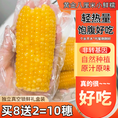 内蒙古甜糯玉米新鲜糯玉米棒独立真空包装加热即食非转基因零添加