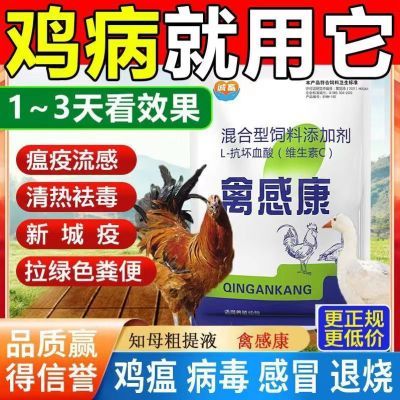 鸡鸭鹅鸽子专用禽感康感冒地低头闭眼呆立不食呼噜怪叫拉稀禽用