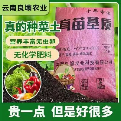 育苗基质土适用于辣椒、蔬菜、草莓、苗木花卉、扦插等营养土