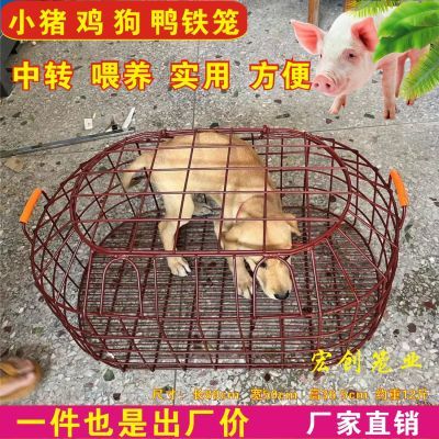 铁猪仔笼小猪专用笼称猪钢筋狗笼家禽养殖中转喂养鸡鸭笼中转笼