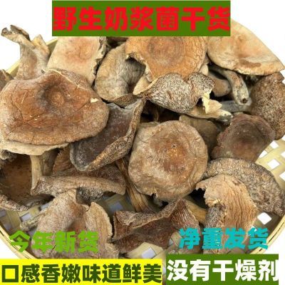 纯野生奶浆菌新鲜干货特产奶汁菇牛奶菌农家蘑菇乳煲汤食用农香菇