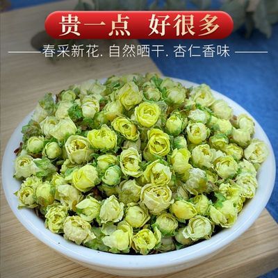 当季绿萼梅中药材白梅花食用绿梅花无硫无添加冲泡养生茶野生散装