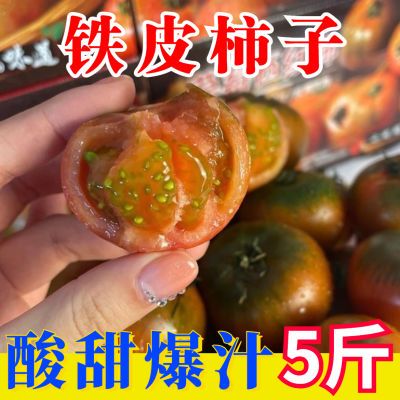 正宗铁皮柿子丹东草莓铁皮西红柿新鲜水果生吃孕妇自然熟应季番茄