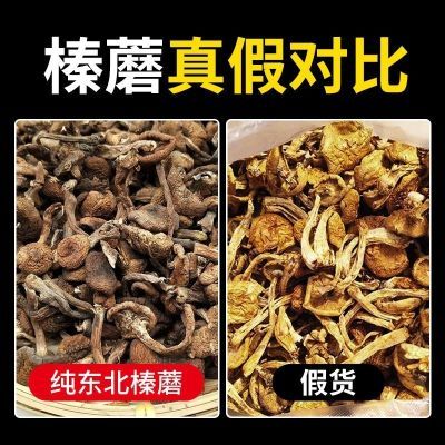 东北野生榛蘑批发精选榛蘑菇小鸡炖蘑菇长白山发货【只卖真榛蘑】