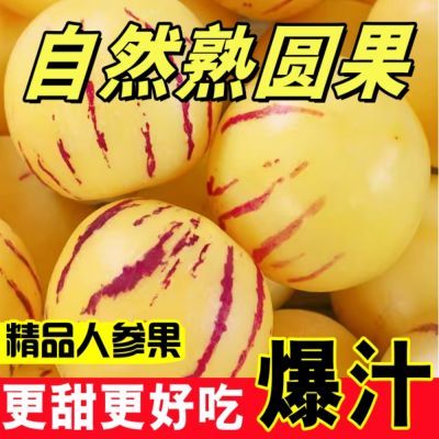 【品质果王】云南石林人参果黄心正宗人参果大果超甜黄果黄心现货