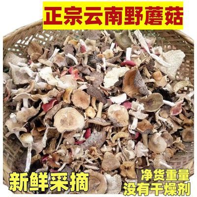 云南新货野生杂菌新鲜土特产蘑菇干货纯天然特产农家菌子煲汤