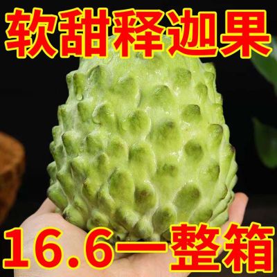 【已售百万】牛奶释迦果大果当季新鲜番荔枝特大果佛头花皮果包邮