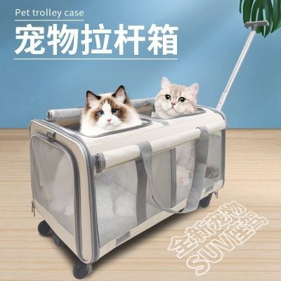 双层猫包外出便携式透气中小型犬猫笼子大容量多猫携带宠物拉杆箱