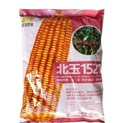 北玉1521玉米种,矮杆大棒玉米,国审玉米品种,2公斤原包装发货