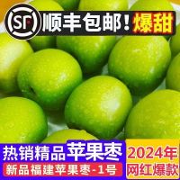 【5斤装】福建苹果枣超大果枣子脆甜大青枣当季新鲜水果整箱批发