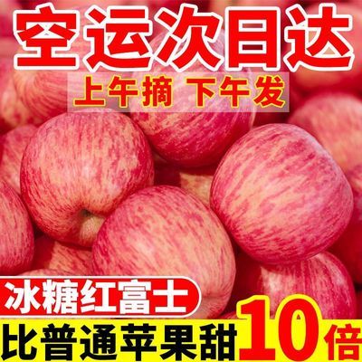 正宗陕西洛川苹果水果新鲜当季整箱红富士冰糖心一级脆甜10斤