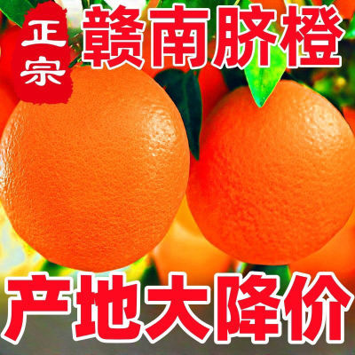 【十斤特价】正宗赣南脐橙江西甜橙夏橙赣州橙子当季新鲜水果批发