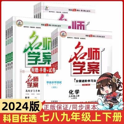 2024版名师学案初中七八年级下册语文数学英语物化生地人教湘