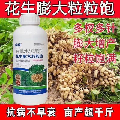 花生膨大粒粒饱正品花生专用膨大剂增高产增收花生粒粒饱快速大果