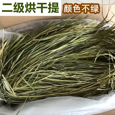 烘干提摩西草干草烘干北提颜色不绿兔子龙猫豚鼠牧草烘干提草北提