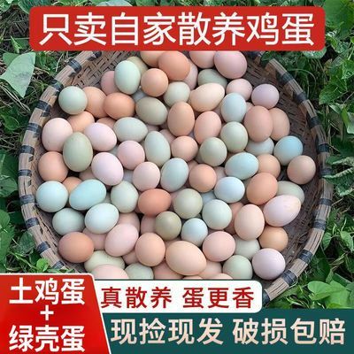 50枚土鸡蛋绿壳乌鸡蛋混合装新鲜散养儿童宝宝营业蛋15枚整箱批发