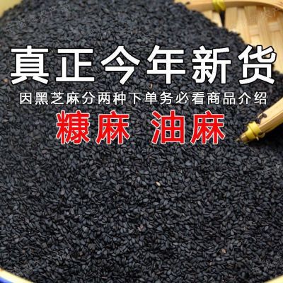 新货黑芝麻新糠麻糠麻批发价免洗干净无沙即食颗粒染色饱满黑芝麻