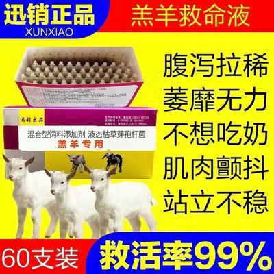 兽用羔羊救命液犊牛小羊拉稀腹泻精神不振软痪痢疾羊用饲料添加剂