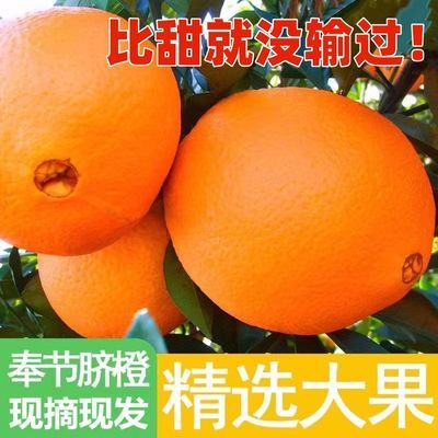 橙子新鲜脐橙水果新鲜甜橙冰糖橙爱媛果冻橙非赣南的脐橙整箱批发