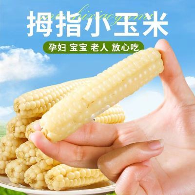 云南西双版纳纯天然小傣家玉米棒小拇指糯玉米好吃又健康