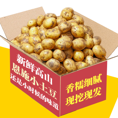 新鲜恩施小土豆迷你现挖黄心土豆洋芋农家自种蔬菜马铃薯3/5/9斤