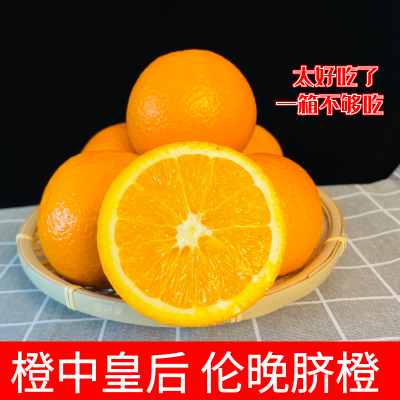 新鲜橙子秭归橙品质酸甜孕妇榨汁当季巴东伦晚脐橙大果非薄皮
